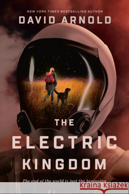 The Electric Kingdom David Arnold 9780593202241 Viking Books for Young Readers - książka