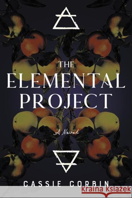 The Elemental Project Cassie Corbin 9798886330243 Bqb Publishing - książka