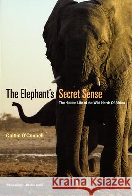 The Elephant`s Secret Sense – The Hidden Life of the Wild Herds of Africa Caitlin O`connell 9780226616742 The University of Chicago Press - książka