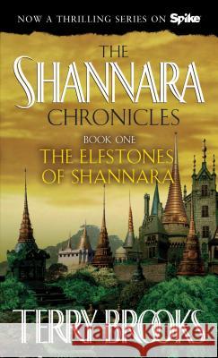 The Elfstones of Shannara Terry Brooks Darrell K. Sweet 9780345285546 Del Rey Books - książka