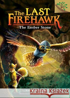 The Ember Stone: A Branches Book (the Last Firehawk #1): Volume 1 Charman, Katrina 9781338122305 Scholastic Inc. - książka