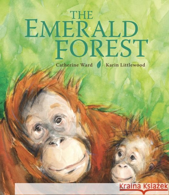 The Emerald Forest Catherine Ward 9781913074142 Otter-Barry Books Ltd - książka