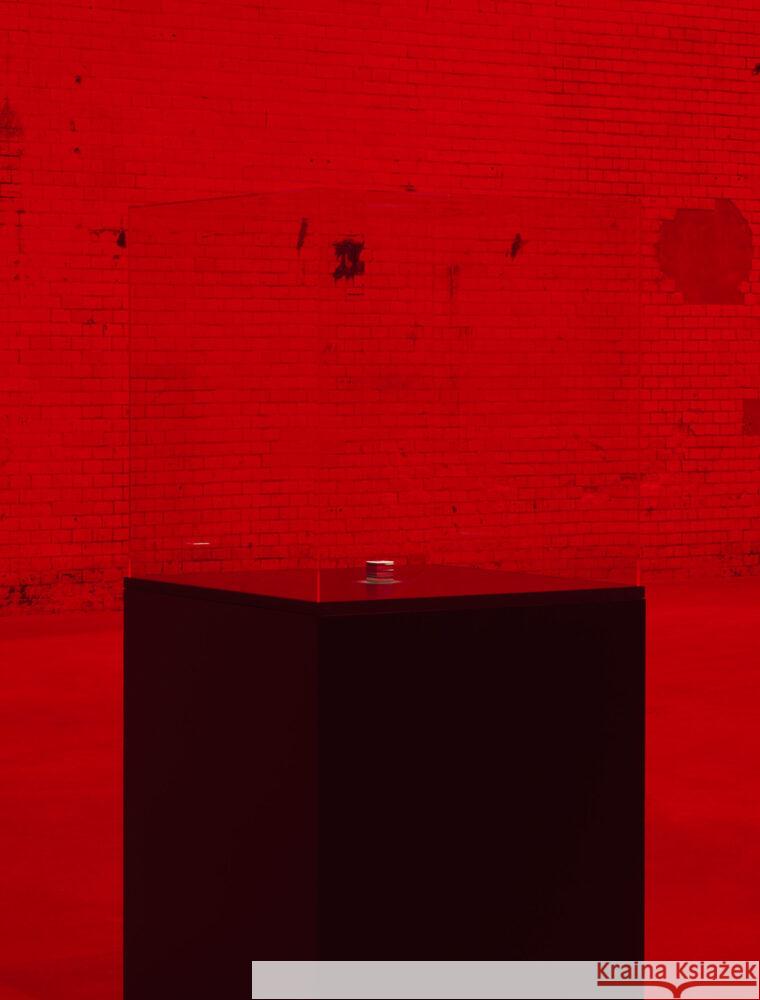 The End of the World Jaar, Alfredo 9783954767243 Distanz Verlag - książka