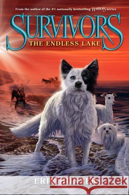 The Endless Lake Erin Hunter 9780062102720 HarperCollins - książka