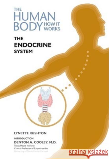 The Endocrine System Lynette Rushton Series Editor Deena Clo Lynett 9781604133691 Chelsea House Publications - książka