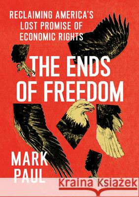 The Ends of Freedom: Reclaiming America's Lost Promise of Economic Rights Paul, Mark 9780226792965 The University of Chicago Press - książka