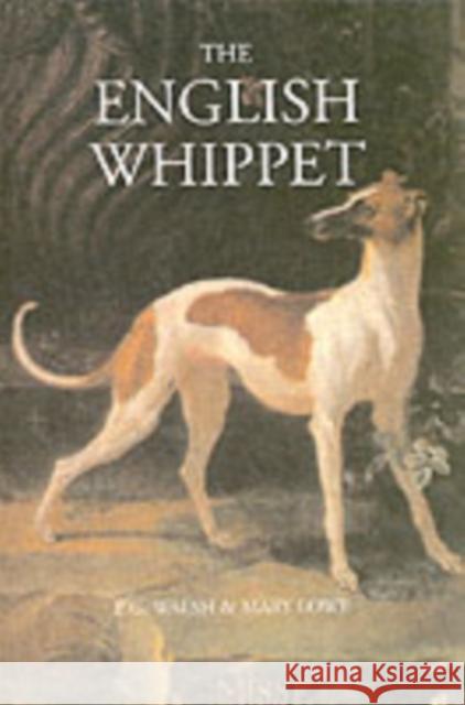 The English Whippet Mary Lowe 9781904784036 Coch-y-Bonddu Books - książka