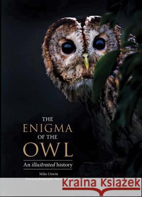 The Enigma of the Owl: An Illustrated Natural History Mike Unwin David Tipling Tony Angell 9780300222739 Yale University Press - książka