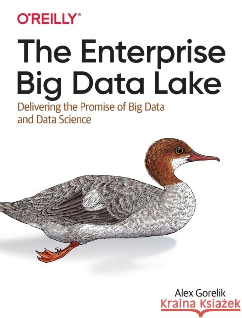 The Enterprise Big Data Lake: Delivering the Promise of Big Data and Data Science Gorelik, Alex 9781491931554 John Wiley & Sons - książka