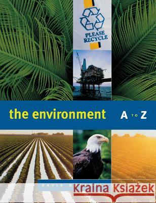 The Environment A to Z David Hosansky 9781568025834 SAGE Publications Inc - książka