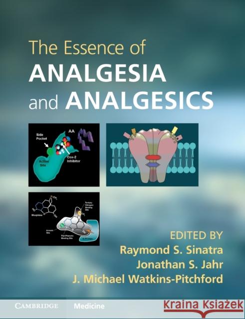 The Essence of Analgesia and Analgesics Raymond S. Sinatra 9780521144506 CAMBRIDGE UNIVERSITY PRESS - książka