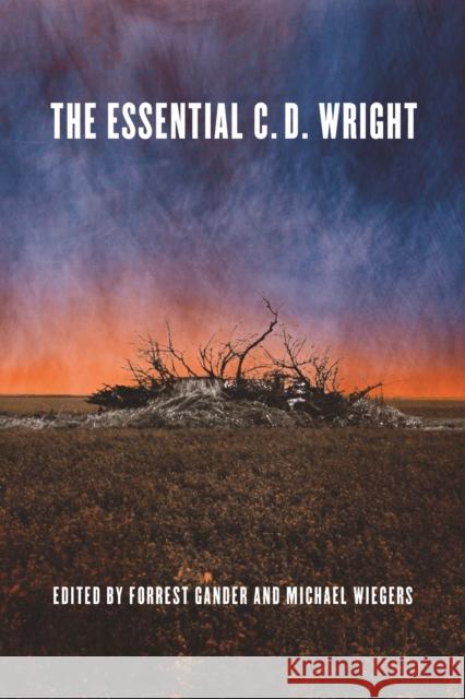 The Essential C.D. Wright C.D. Wright 9781556597190 Copper Canyon Press - książka