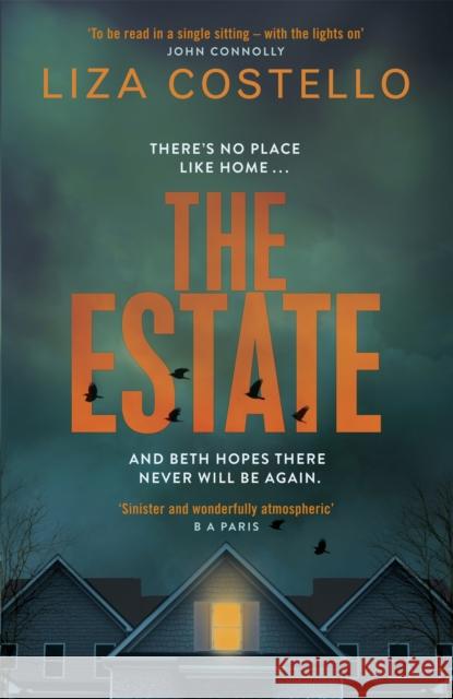 The Estate: A sinister, edge-of-your-seat psychological thriller Liza Costello 9781529350111 Hachette Books Ireland - książka