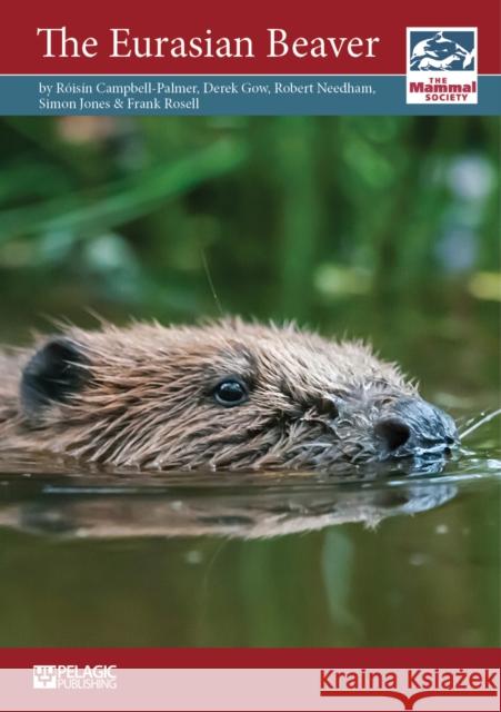 The Eurasian Beaver Roisin Campbell-Palmer Derek Gow Robert Needham 9781784270346 Pelagic Publishing - książka