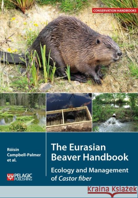 The Eurasian Beaver Handbook: Ecology and Management of Castor fiber Campbell-Palmer, Roisin 9781784271138 Pelagic Publishing - książka