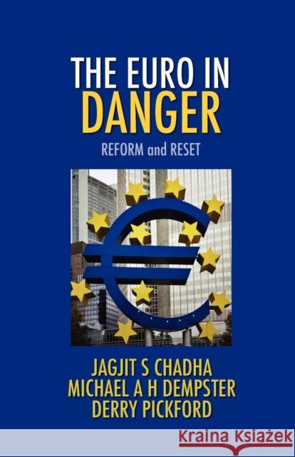 The Euro in Danger Jagjit S. Chadha Michael A. H. Dempster Derry Pickford 9781907720635 Searching Finance Ltd - książka