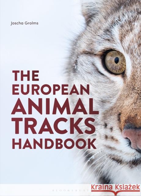 The European Animal Tracks Handbook Grolms, Joscha 9781399415774 Bloomsbury Publishing PLC - książka