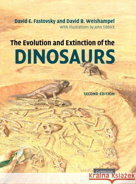 The Evolution and Extinction of the Dinosaurs David E Fastovsky 9780521811729 CAMBRIDGE UNIVERSITY PRESS - książka