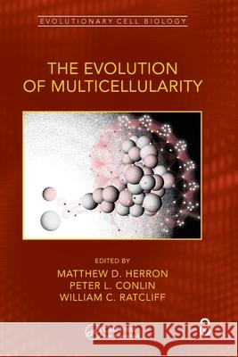 The Evolution of Multicellularity Matthew D. Herron Peter L. Conlin William C. Ratcliff 9781032207797 CRC Press - książka