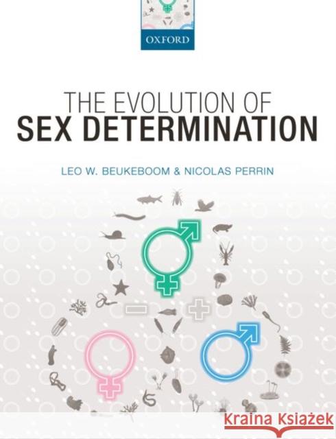 The Evolution of Sex Determination Leo Beukeboom Nicolas Perrin 9780198753674 Oxford University Press, USA - książka