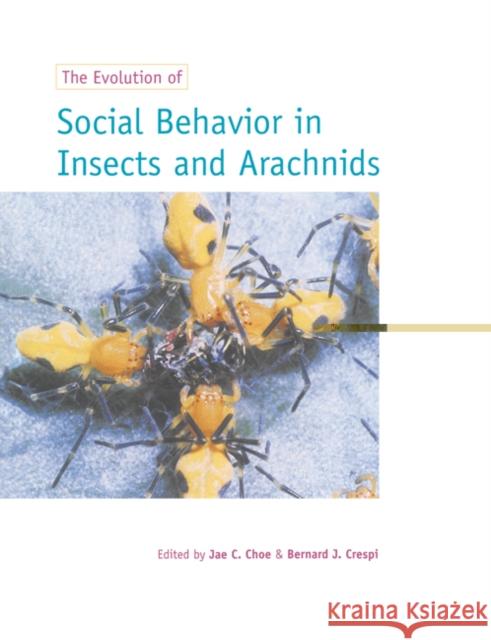 The Evolution of Social Behaviour in Insects and Arachnids Jae C. Choe Bernard J. Crespi 9780521589772 Cambridge University Press - książka