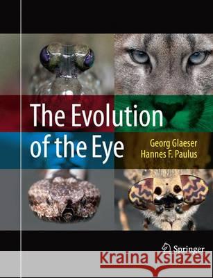 The Evolution of the Eye Georg Glaeser Hannes F. Paulus 9783319371023 Springer - książka