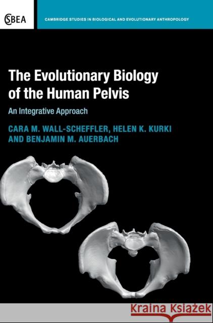 The Evolutionary Biology of the Human Pelvis: An Integrative Approach Cara M. Wall-Scheffler Helen K. Kurki Benjamin M. Auerbach 9781107199576 Cambridge University Press - książka