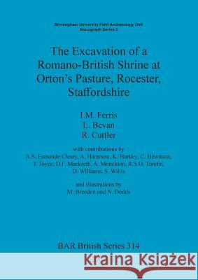 The Excavation of a Romano-British Shrine at Orton's Pasture, Rocester, Staffordshire  9781841712055 Archaeopress - książka