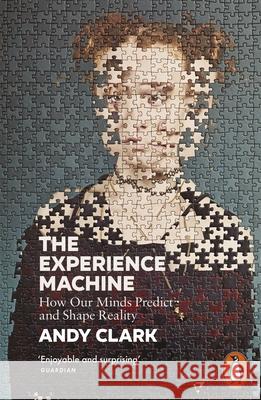 The Experience Machine: How Our Minds Predict and Shape Reality Andy Clark 9780141990583 Penguin Books Ltd - książka