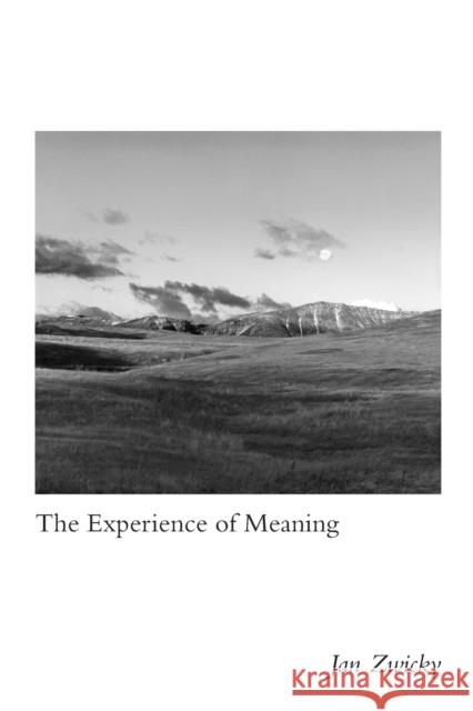 The Experience of Meaning Jan Zwicky 9780773557437 McGill-Queen's University Press - książka