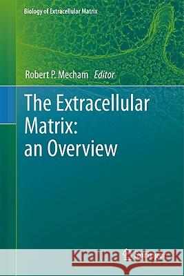 The Extracellular Matrix: An Overview Mecham, Robert 9783642165542 Not Avail - książka