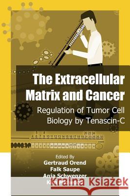 The Extracellular Matrix and Cancer: Regulation of Tumor Cell Biology by Tenasc Anja Heinke Gertraud Orend Falk Saupe 9781922227522 Iconcept Press - książka