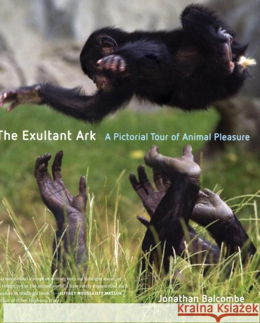 The Exultant Ark: A Pictorial Tour of Animal Pleasure Balcombe, Jonathan Peter 9780520260245  - książka