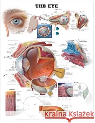 The Eye Anatomical Chart   9781587791260  - książka