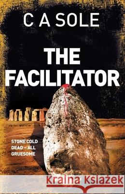The Facilitator Colin A. Sole 9781068206702 Helifish Books - książka