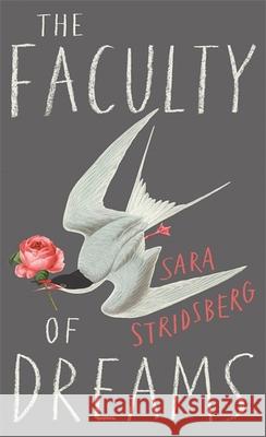 The Faculty of Dreams: Longlisted for the Man Booker International Prize 2019  9780857054746 Quercus Publishing - książka