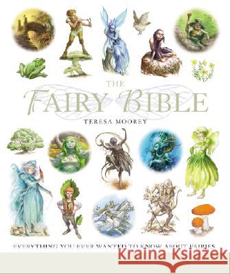 The Fairy Bible: The Definitive Guide to the World of Fairies Volume 13 Moorey, Teresa 9781402745485 Sterling - książka