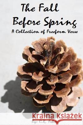 The Fall Before Spring C. R. Asher 9781312942240 Lulu.com - książka