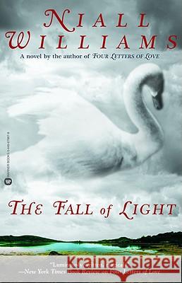 The Fall of Light Niall Williams 9780446679879 Grand Central Publishing - książka