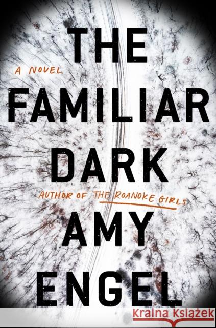 The Familiar Dark: A Novel Amy Engel 9781524745950 Dutton Books - książka