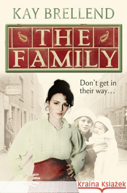 The Family Kay Brellend 9780007358663  - książka