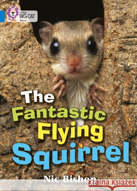 The Fantastic Flying Squirrel: Band 04/Blue  9780007185832 HarperCollins Publishers - książka