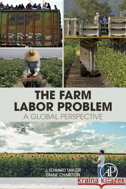 The Farm Labor Problem: A Global Perspective Taylor, J. Edward 9780128164099  - książka