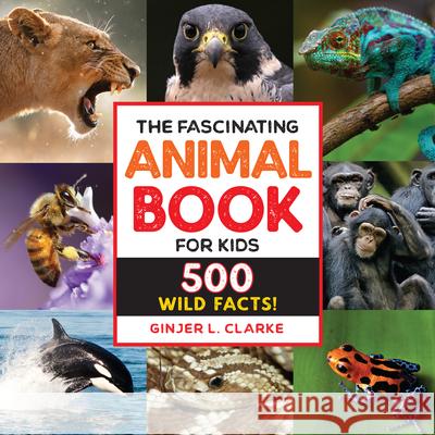 The Fascinating Animal Book for Kids: 500 Wild Facts! Ginjer Clarke 9781638788287 Rockridge Press - książka