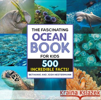 The Fascinating Ocean Book for Kids: 500 Incredible Facts! Bethanie Hestermann Josh Hestermann 9781638786450 Rockridge Press - książka