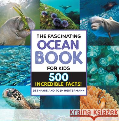 The Fascinating Ocean Book for Kids: 500 Incredible Facts! Bethanie Hestermann Josh Hestermann 9781648768842 Rockridge Press - książka