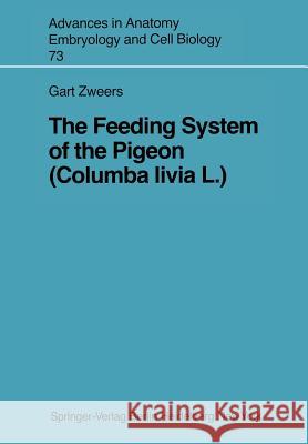 The Feeding System of the Pigeon (Columba livia L.) Gart A. Zweers 9783540113324 Springer-Verlag Berlin and Heidelberg GmbH &  - książka