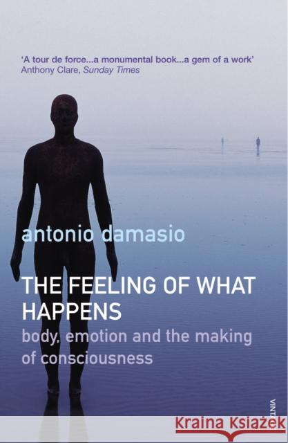 The Feeling Of What Happens Antonio Damasio 9780099288763 Vintage Publishing - książka