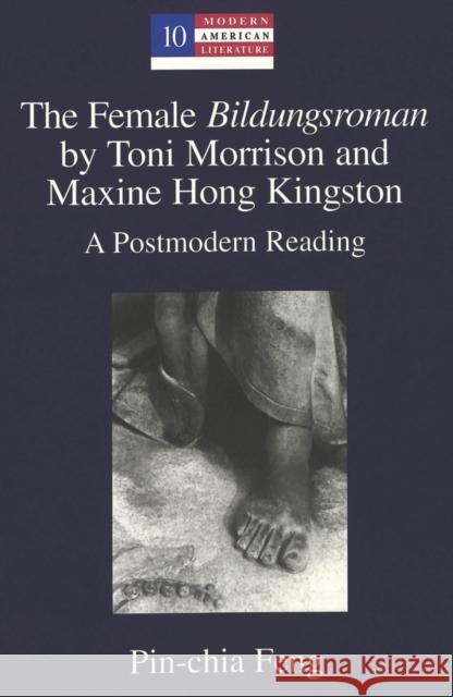 The Female «Bildungsroman» by Toni Morrison and Maxine Hong Kingston: A Postmodern Reading Hakutani, Yoshinobu 9780820449418 Peter Lang Publishing Inc - książka