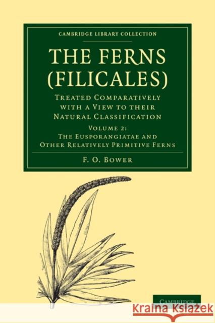 The Ferns (Filicales): Volume 2, the Eusporangiatae and Other Relatively Primitive Ferns: Treated Comparatively with a View to Their Natural Classific Bower, F. O. 9781108013178 Cambridge University Press - książka